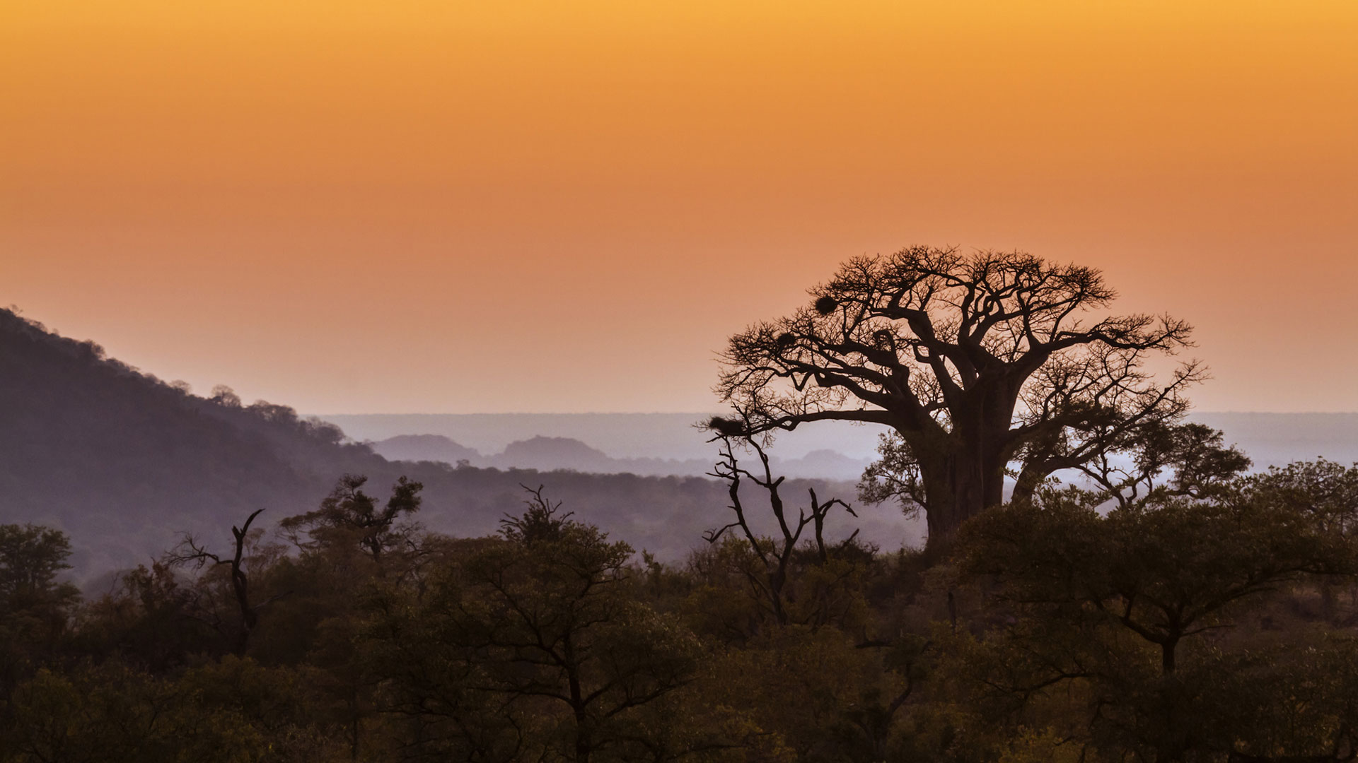 voyages-initiatiques-spirituels-afrique-du-sud-petits-groupes-exclusifs-connexions-architectes-de-sens-marie-regnault